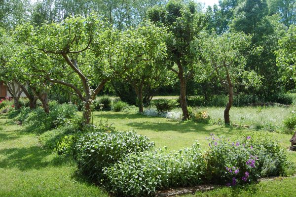 frankenhausen-klostergarten-christophfasbenderE5B98531-6668-87BF-31B1-8DA1973241AF.jpg