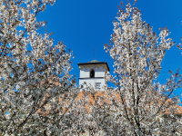 Sanierung von Schloss Haslau im Ascher Ländchen